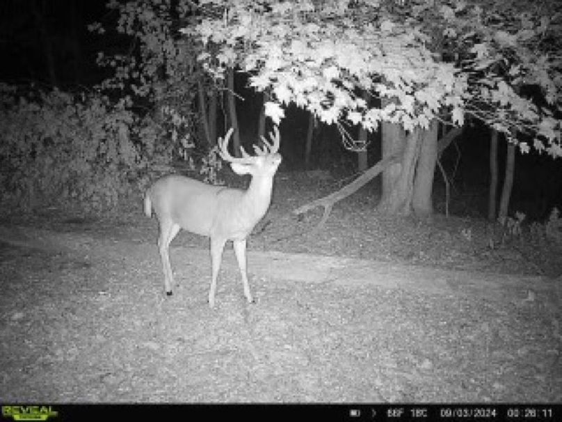 864049057275945-40-4-09032024002610-W1035967