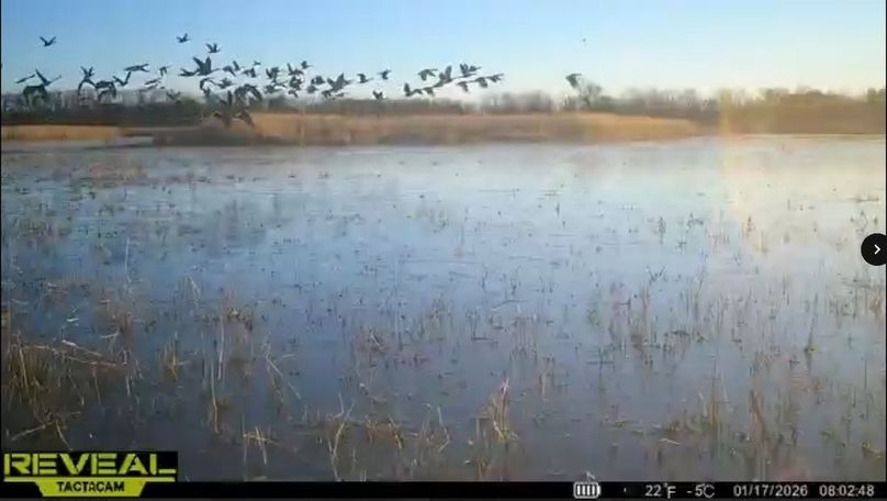 Screenshot_24-1-2026_9149_drive.google.com