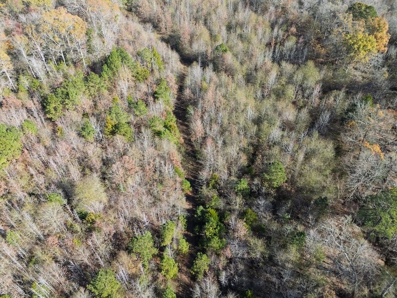 cropped and edited harrison 417ac pics-157