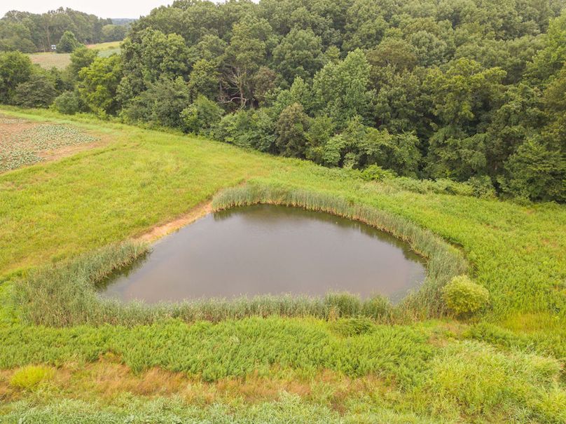 MooreHollow-29