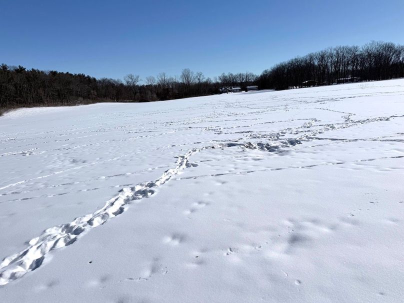 2.Copy of Tract 2 Looking at Onsted Hwy Large