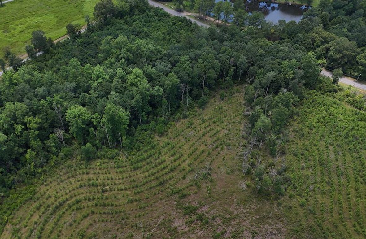 5-DJI_20240730132025_0005_D