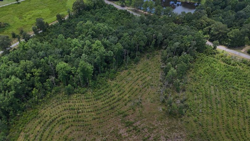 5-DJI_20240730132025_0005_D