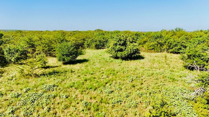 dji_fly_20250728_095902_0055_1753739689465_photo