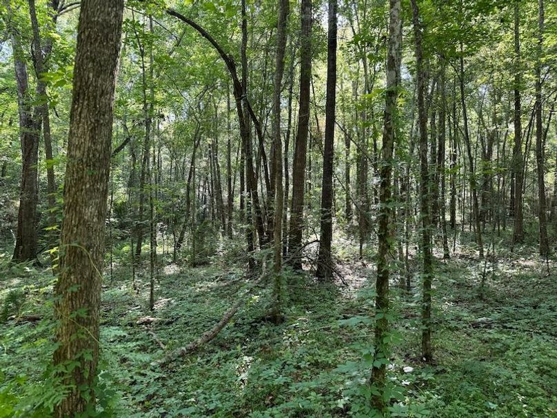 EEA5DB48-8CB4-4B28-B3BA-E8DD5F3C9675