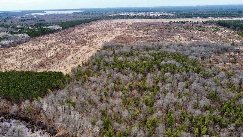 dji_fly_20250404_130432_754_1744067494948_photo_optimized 3