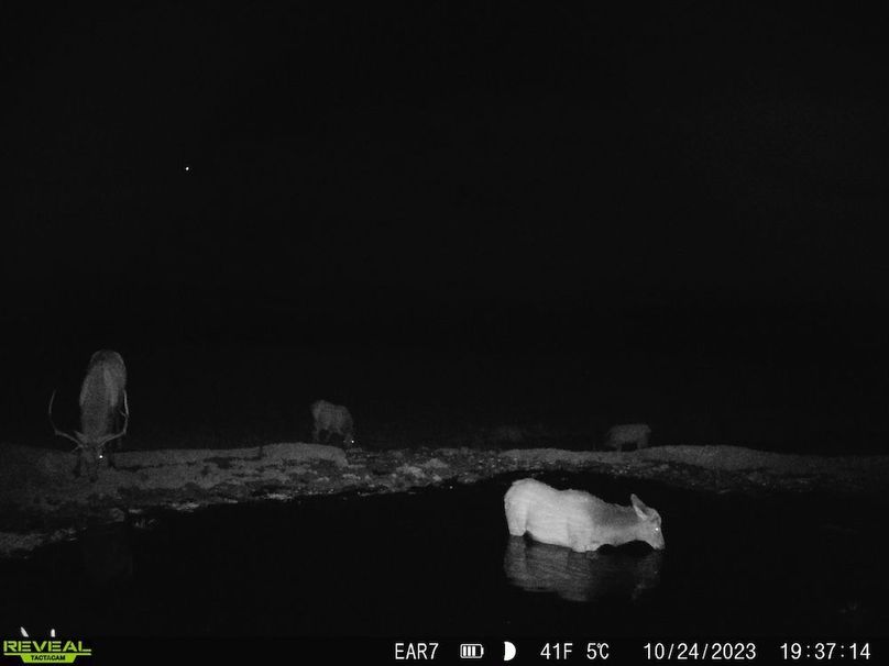 Copy of af4f2191-0685-4356-9953-552c17890d89