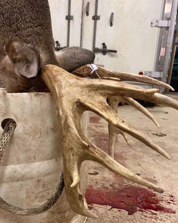 B5283C7A-757D-451D-9595-EF985BCC5F1E