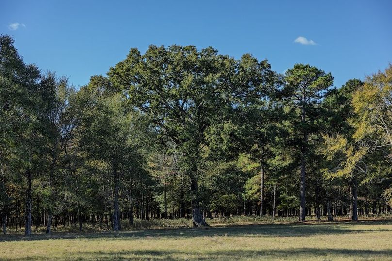 39 harrison 417ac pics-080