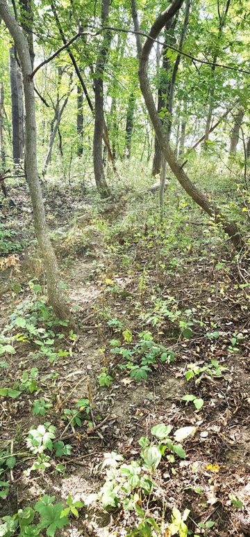 382326490_662317505964029_3728354054476195919_n