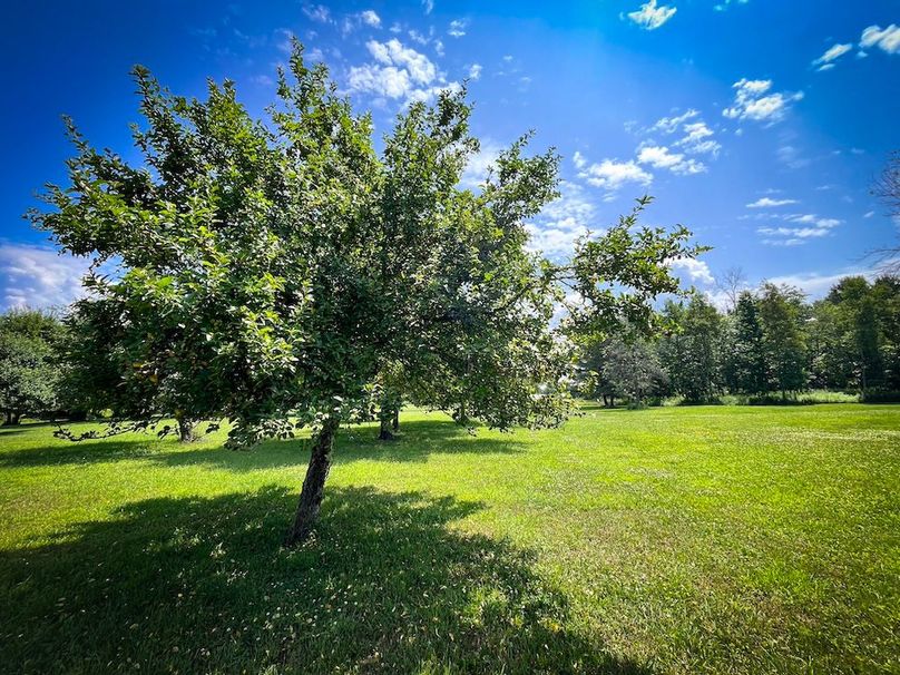 Oswego_21.25-Paro_Photos_11