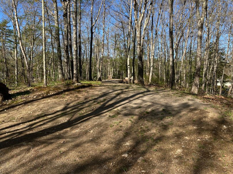 2023-05-08_08-21-20-0400