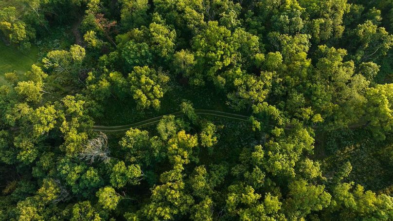 Cedar IA 152 Featured Z52