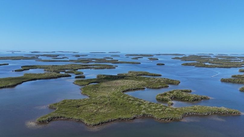 17.17ac, Citrus, Josiah Ronco32