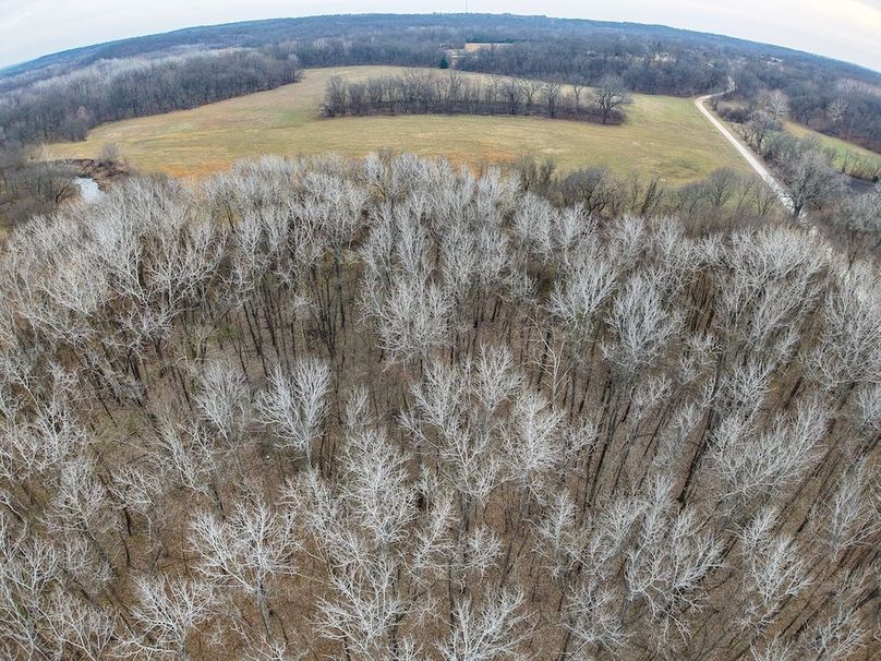 DJI_20260104152615_0459_D