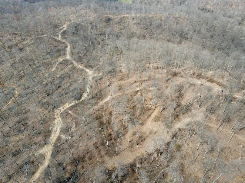 dji_fly_20240329_125154_559_1711731138476_photo