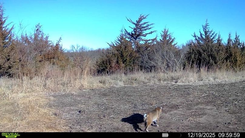 016579000627948-85-4-12192025095959-SYFW02018