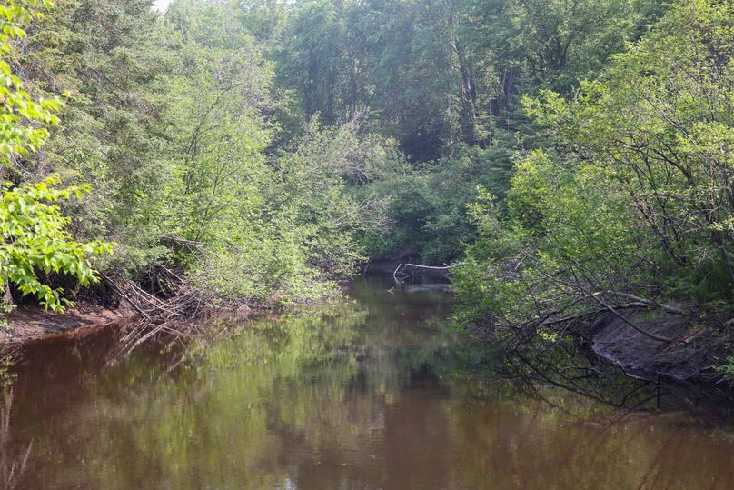 Chippewa85Knowles-5792