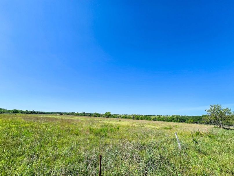 Copy of 20250729_105957