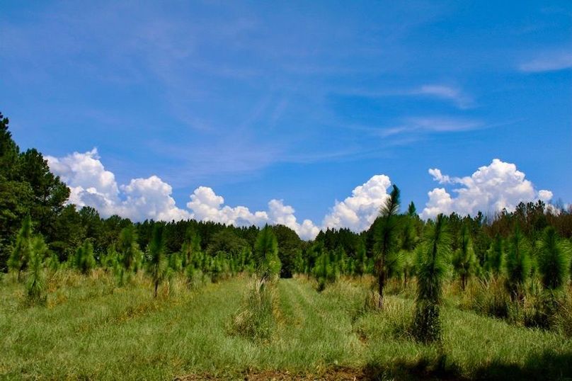 E542ED49-DB3C-4BC3-89BB-50FD55CFEEC3_1_105_c