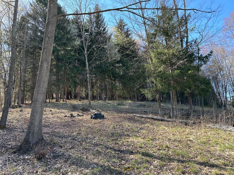 443CAD9F-E437-4EC4-9A26-168FB29B1CA6