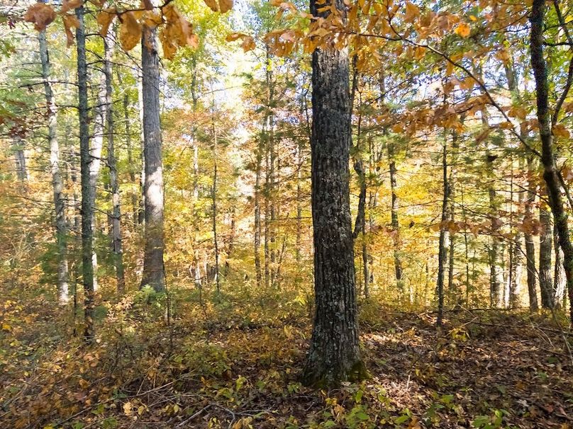 Copy of APC_5406-hdr