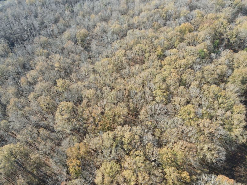 dji_fly_20240104_103402_15_1704386061613_photo 2