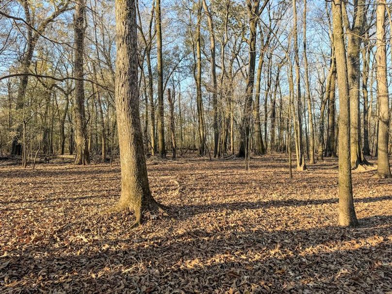 St. Francis 216.9 Calvin Parker Farms Profile -33