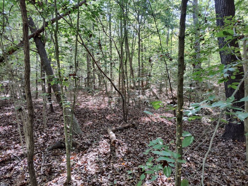 IMG_20231009_150533084_HDR