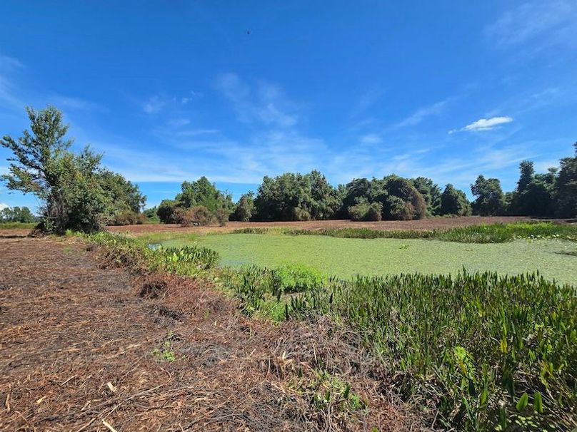 21ac, Sumter, Reelvest40