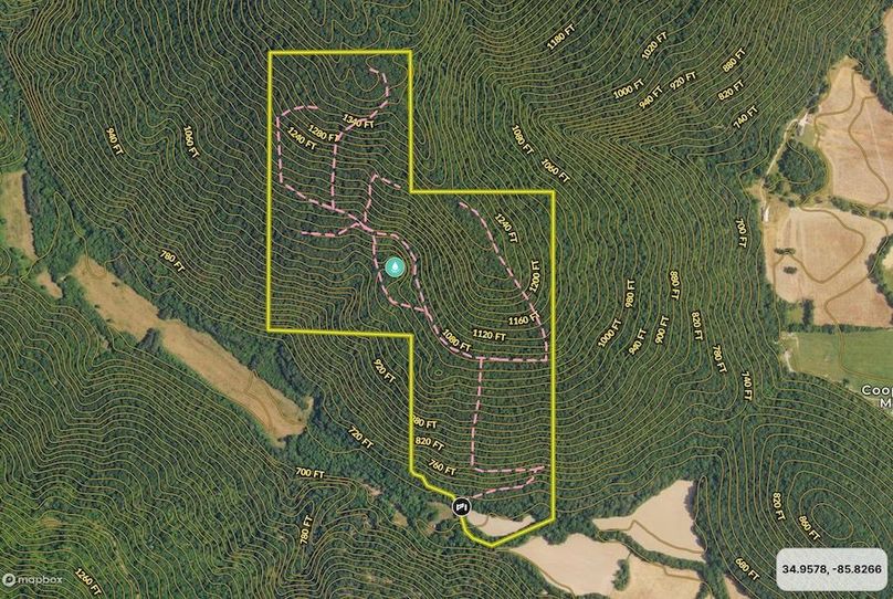 Screenshot 2024-09-27 at 5.59.41 AM