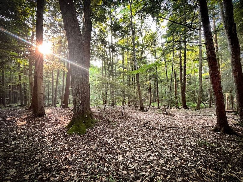 Oswego_25.66_Pettit_Photos_40