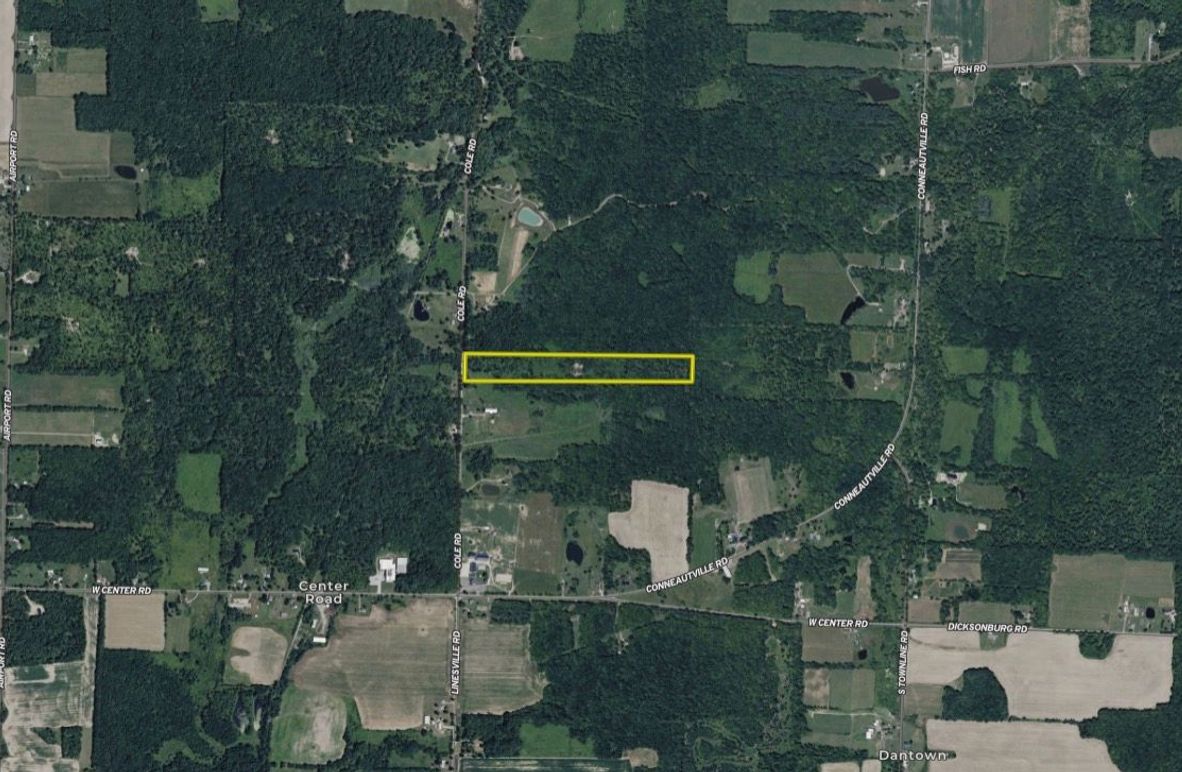 Screen Shot 2026-02-04 at 2.05.42 PM