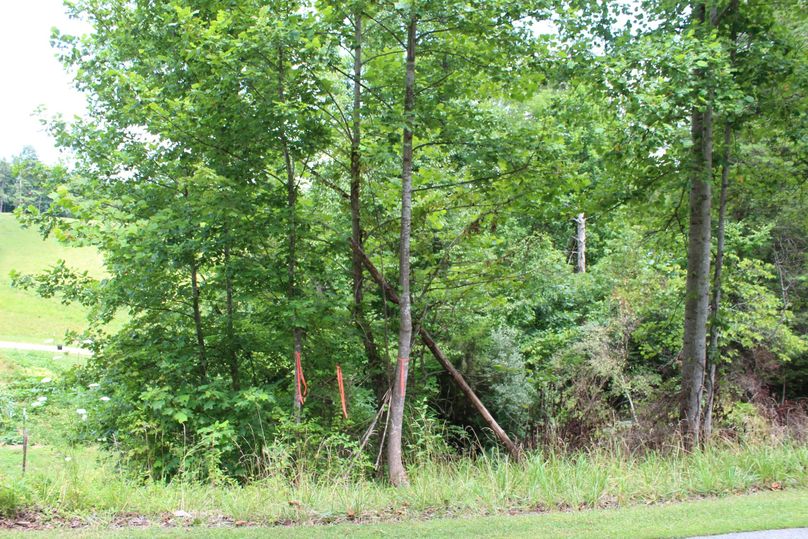 023 flagged boundary along the northwestern boundary along KY 1624