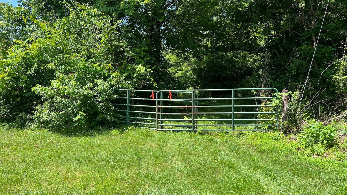 Creek Front Acreage With Beautiful Views Whitetail Properties
