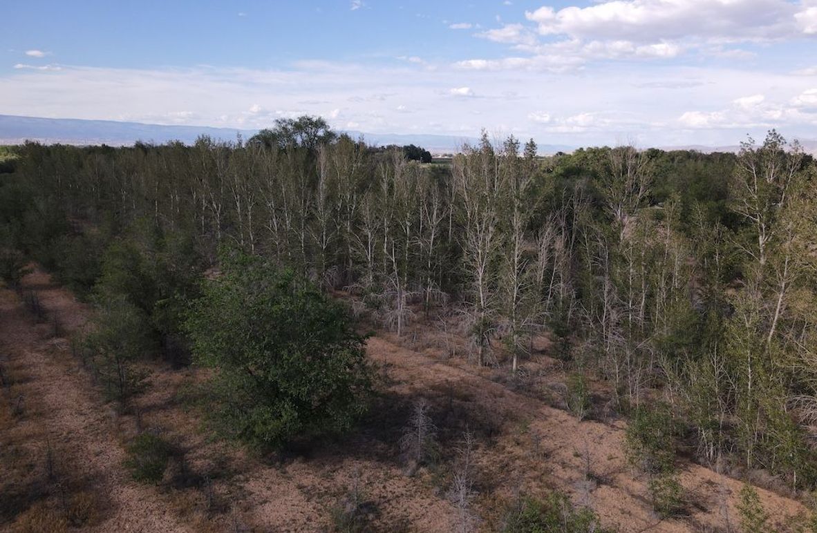 DJI_0676