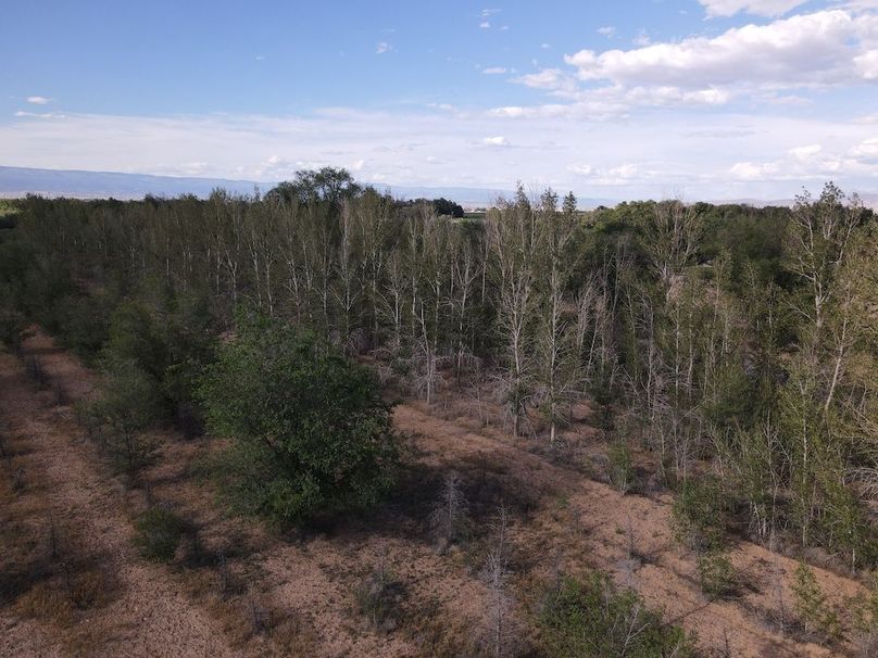 DJI_0676