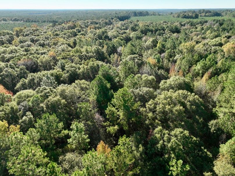 dji_fly_20251031_100932_991_1761919965808_photo