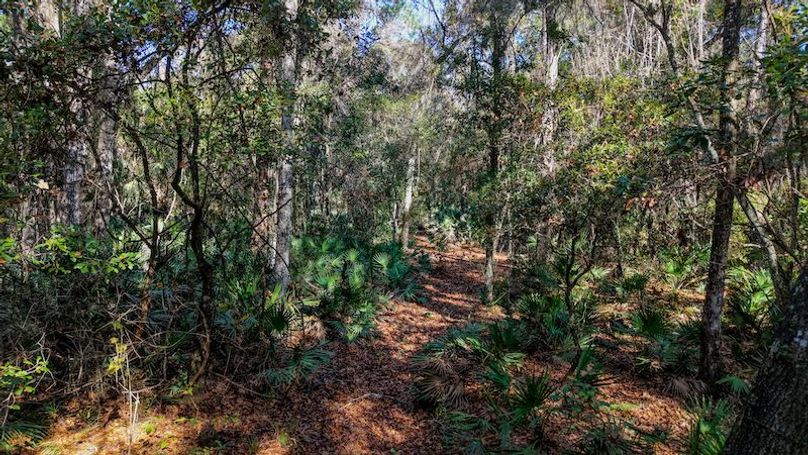 Copy of DJI_20251204000719_0727_D