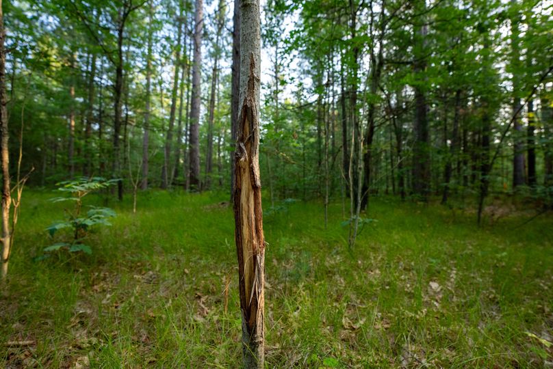 Ogemaw MI 475 Featured Pro Photo-01346