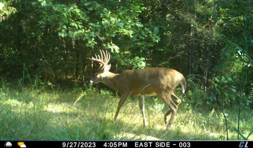 trail cam27