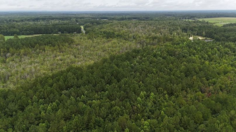 dji_fly_20250715_110744_0586_1752592287648_photo