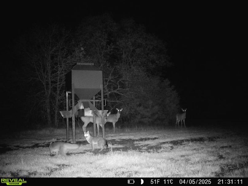 860516063636967-1-4-04052025213110-W1010313