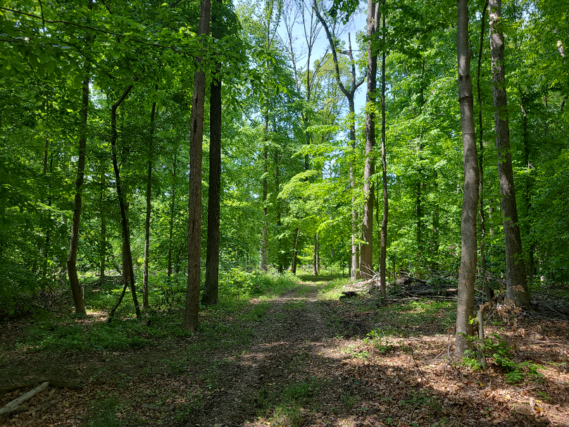 26.48ac_McKenneyLn_QAnnes_31