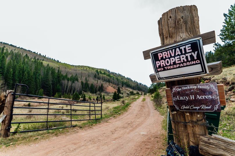 Teller 11.75 - 0001.1