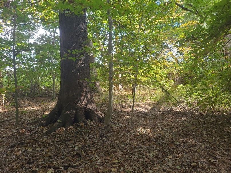 31.40ac_QAnnes_PIC_012