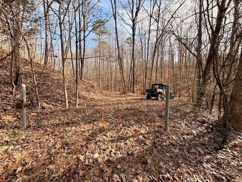 Roane Co TN 396 20251127_11