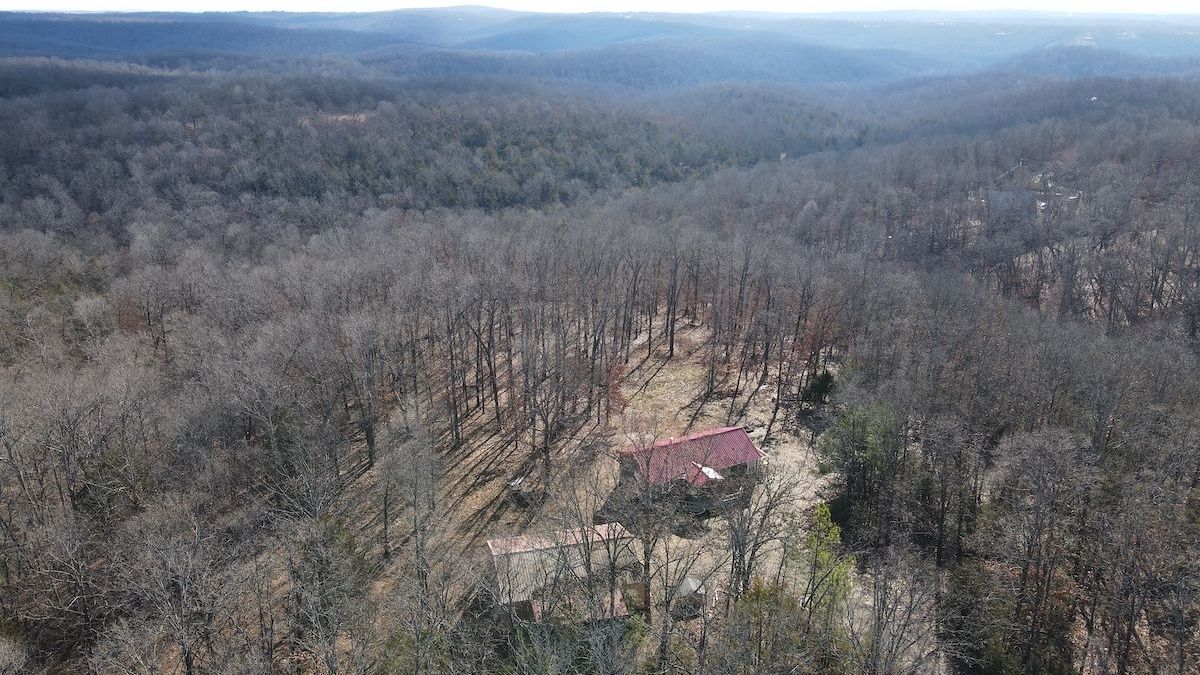 Superbly Managed Hunting Tract Minutes To Mountain Home, AR | Whitetail ...