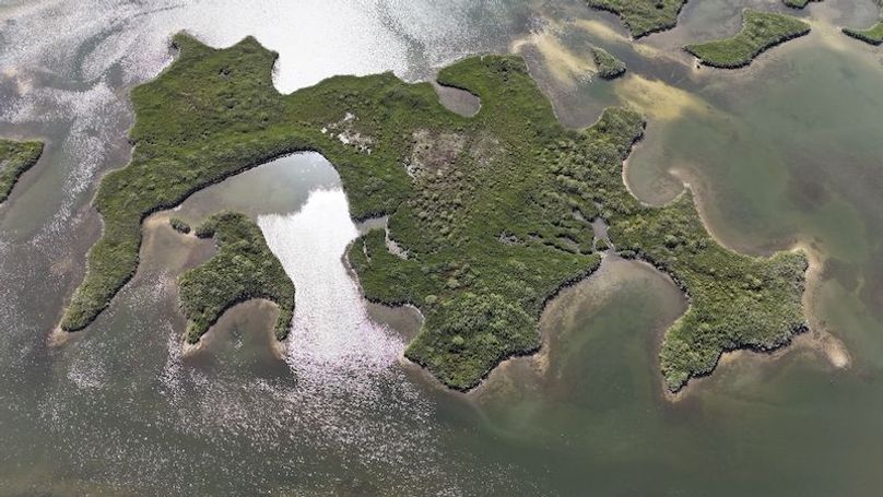 17.17ac, Citrus, Josiah Ronco06