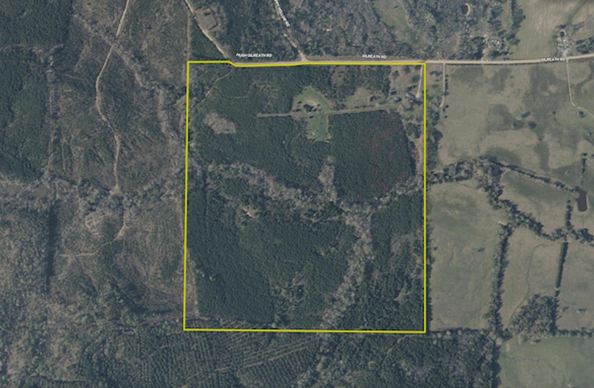 Screenshot 2025-03-27 at 11.16.22 AM